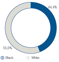 2015 Ethnicity