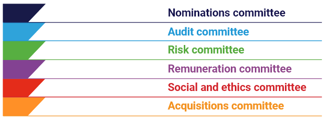 Governing structures and committees
