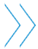 Functional governance structure